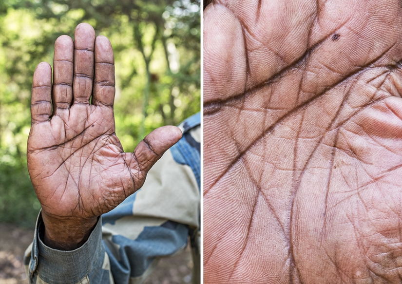 What I can tell human hands. Photo Of Omar Reda