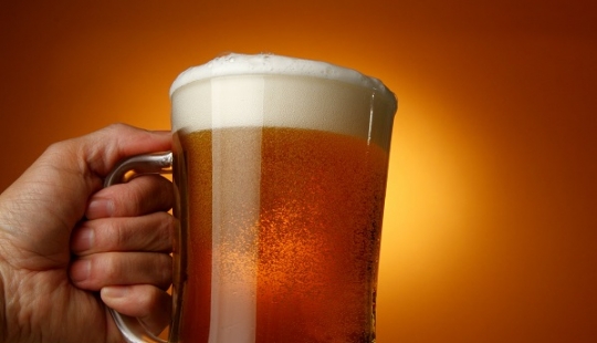 What will be useful to beer-yogurt, which is created by the Petersburg scientists What will be useful to beer-yogurt, which is created by the Petersburg scientists