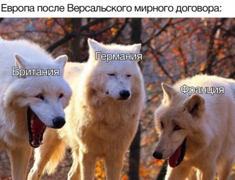 Where did the meme about the laughing wolves