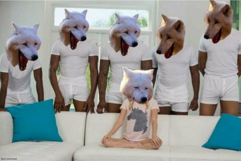 Where did the meme about the laughing wolves