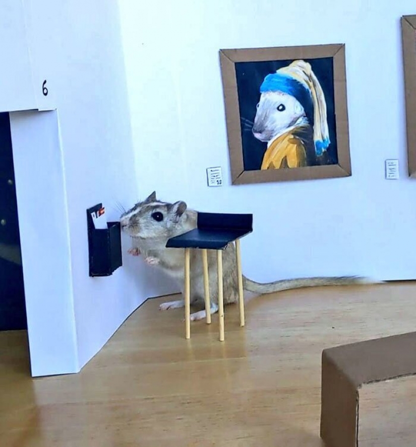 Why in London he opened a tiny art gallery for mice-gerbils