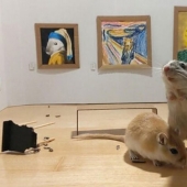 Why in London he opened a tiny art gallery for mice-gerbils