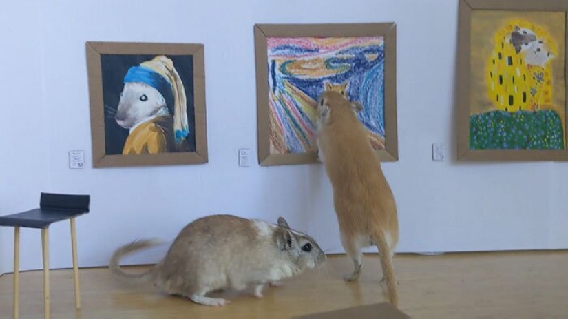 Why in London he opened a tiny art gallery for mice-gerbils