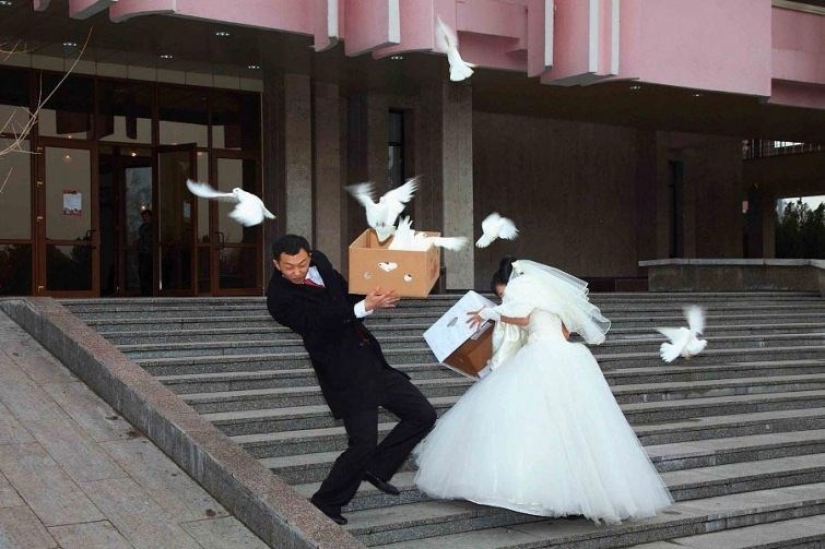 Wildest thrash in the darkness of revelry: "best" wedding photos from Russia