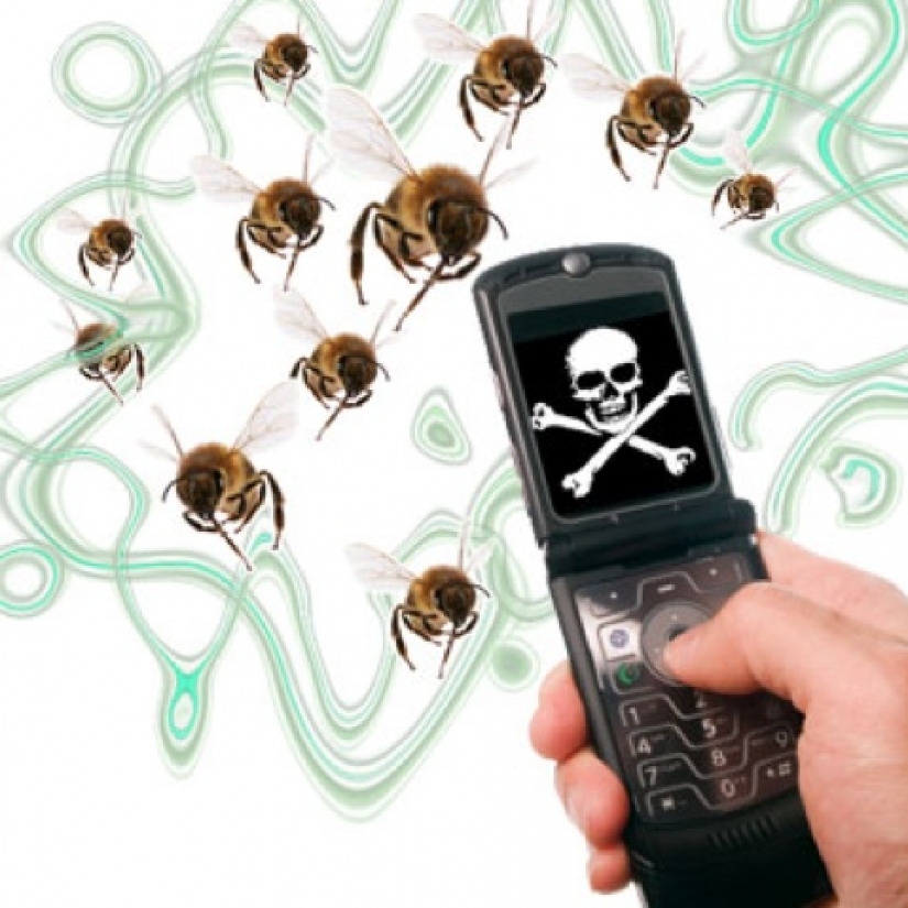 Without honey and fruit: what happens when, in 2035, will die all the bees
