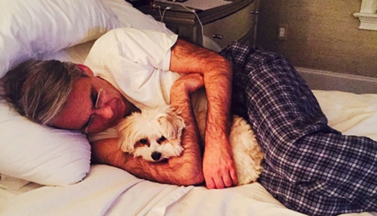 "Yo no soy un perro de la persona": los padres, que no quiere a los perros