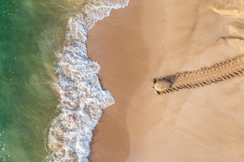 10 best photos from the winners of the Drone Photo Awards 2021