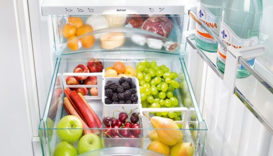 10 cosas que puedes usar para hacer que tu refrigerador sea perfecto