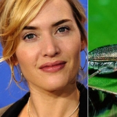 10 especies de animales con nombres de celebridades