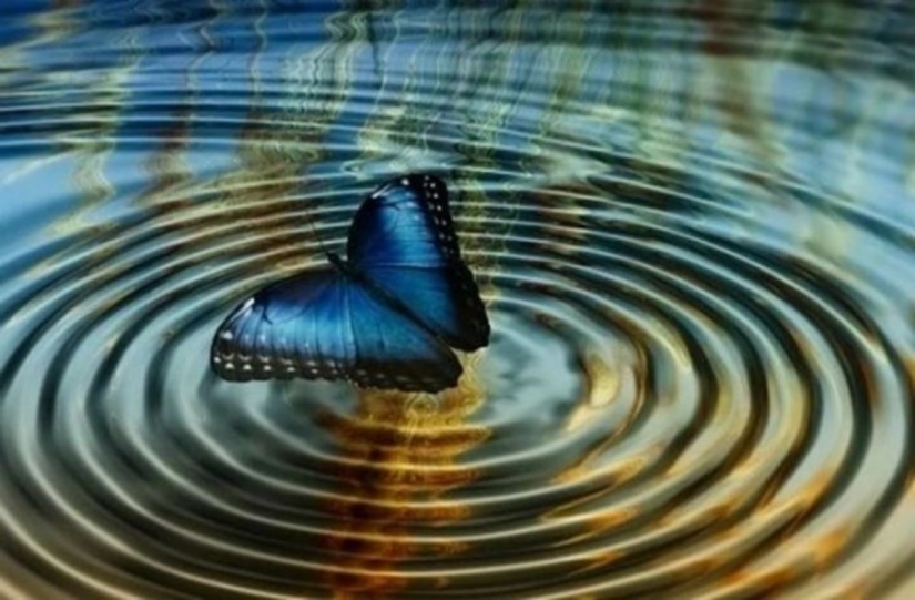 10 examples of the "butterfly effect" that completely changed the world