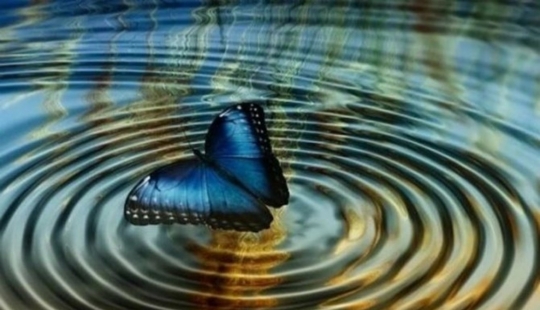 10 examples of the "butterfly effect" that completely changed the world