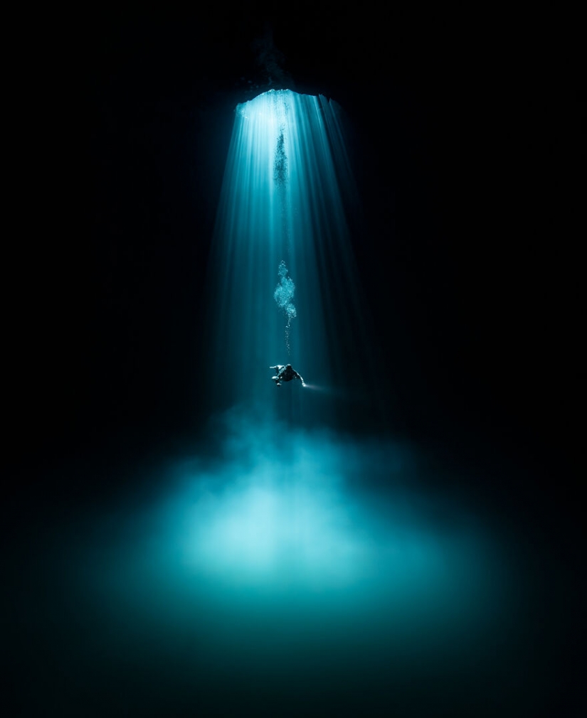 10 increíbles imágenes submarinas de los finalistas de los Ocean Photography Awards 2021
