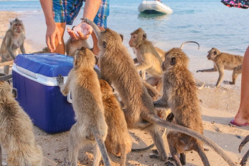 10 incredible places where people live next to exotic animals