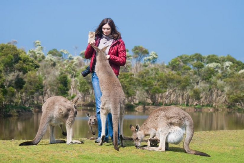 10 incredible places where people live next to exotic animals