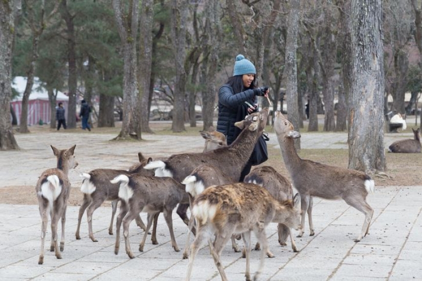 10 lugares increíbles donde la gente vive junto a animales exóticos