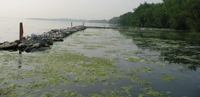 10 más peligrosos ríos y lagos en el mundo