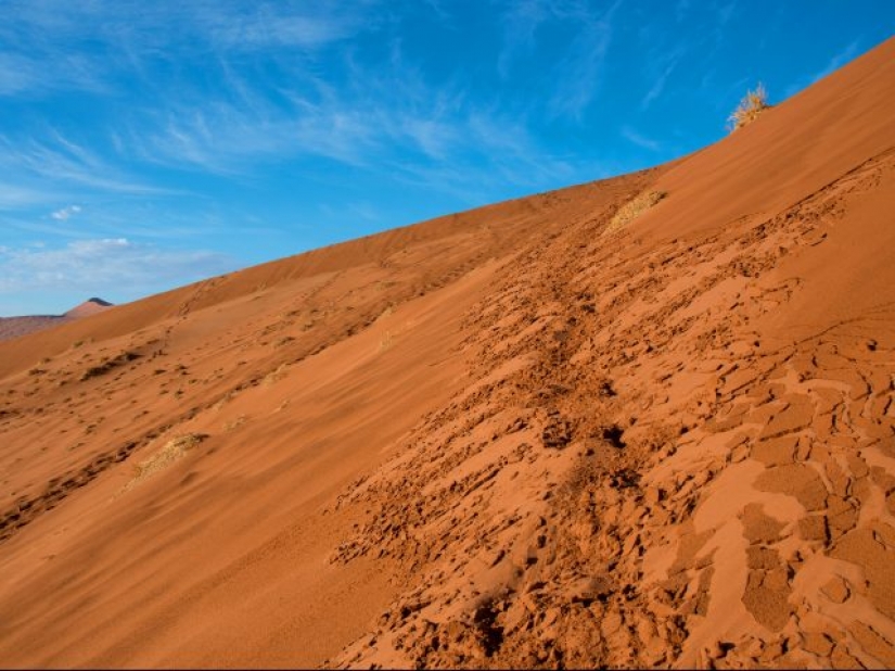 10 photos that will make you want to visit Namibia