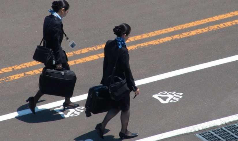 10 useful life hacks in secret from flight attendants