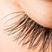11 secrets for creating gorgeous lashes