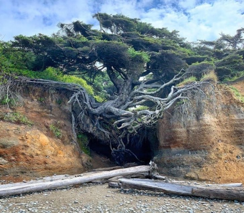 12 pictures of mother nature that will make you wonder if they are real or not