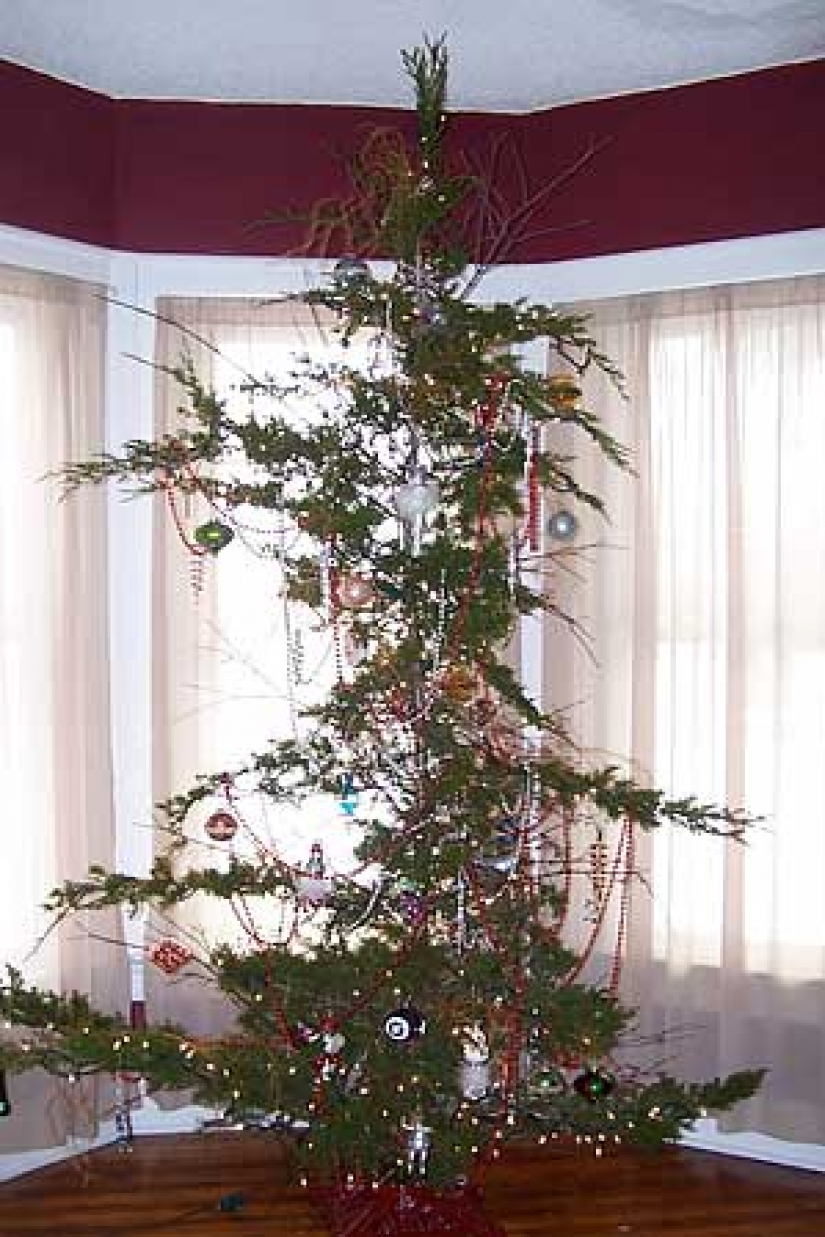 13 de la más fea de árboles de Navidad