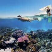 14 facts about Australia that you most likely didn't know