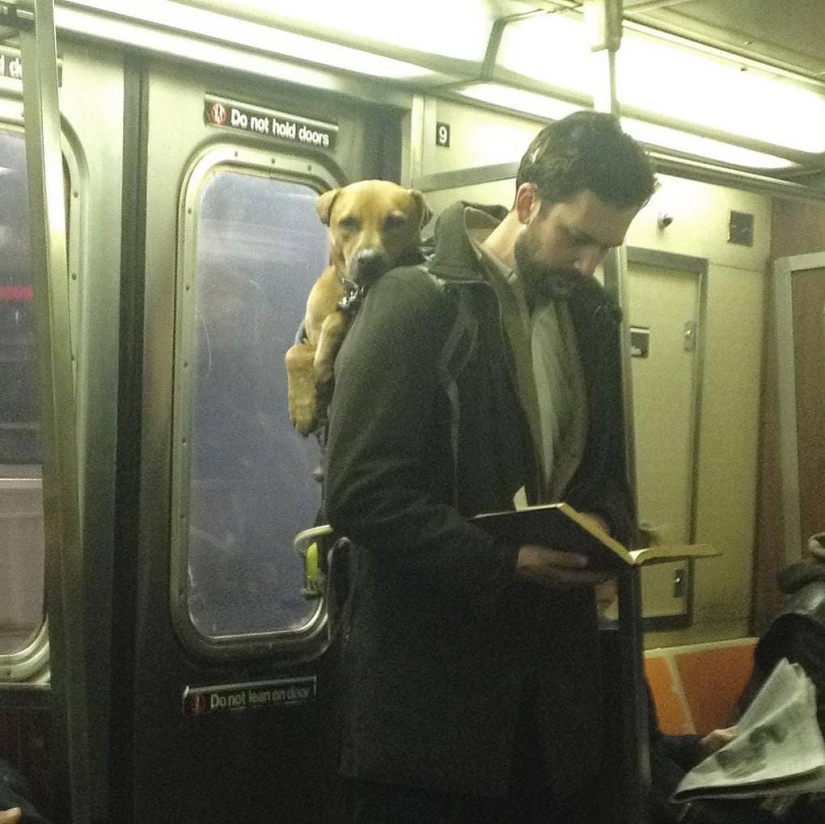 15 hot guys with books, or What is "love at first sight"