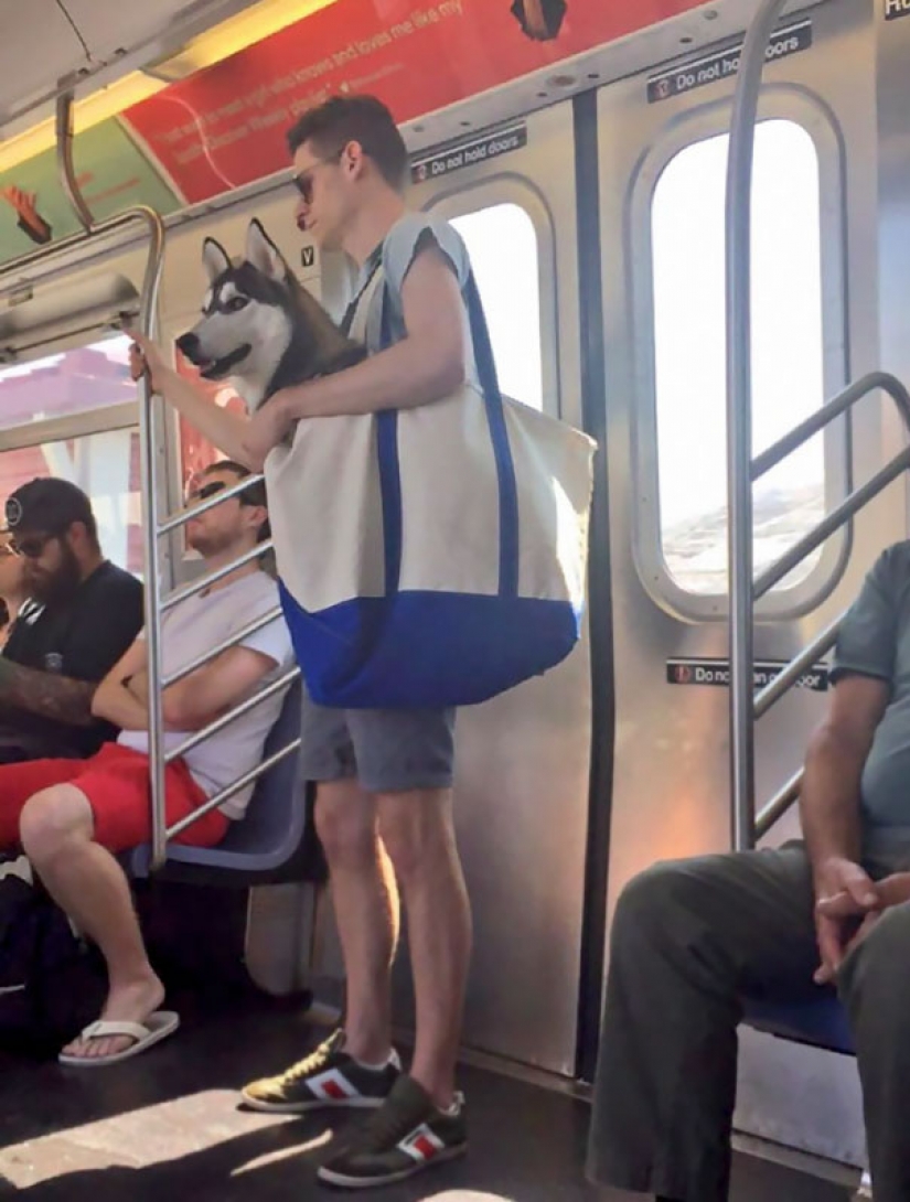 15 personas extrañas vistas en el metro