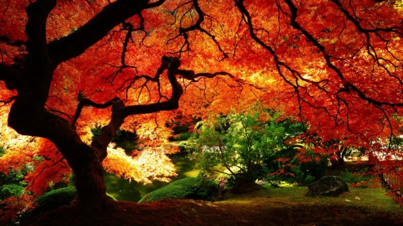 15 places where autumn is especially beautiful