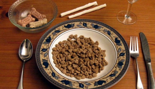 15 strange professions that pay very real money for them