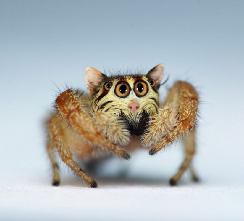 17 bizarre and amazing animal hybrids created by the imagination