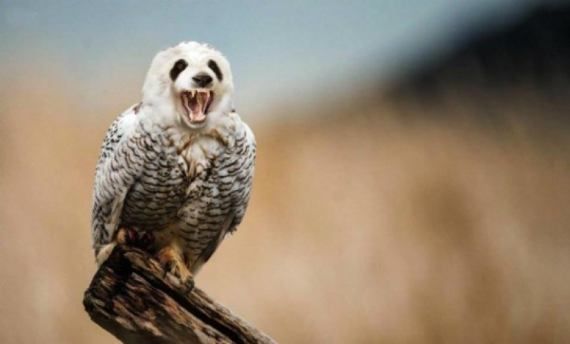 17 bizarre and amazing animal hybrids created by the imagination