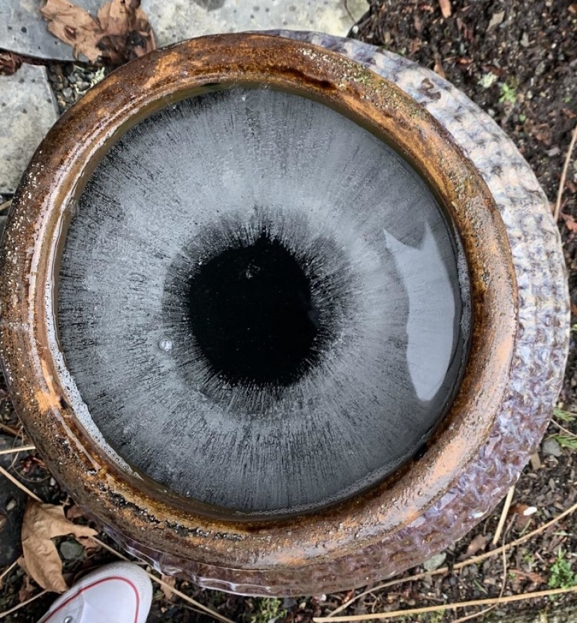 17 mesmerizing photos that will tease your mind