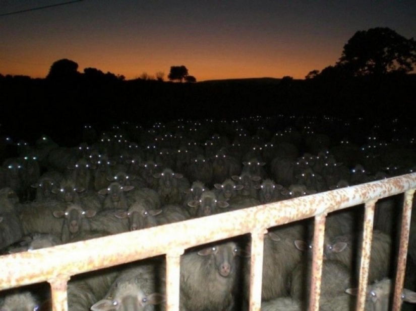 19 photos that might scare the hell out of you