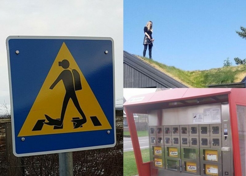 20 cosas increíbles que se encuentran en Islandia