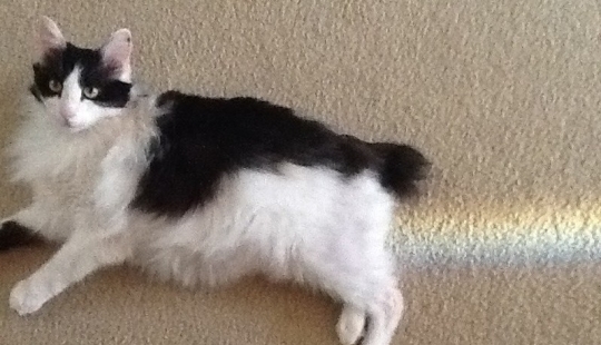 20 fotos tomadas en el momento justo que te hará lucir