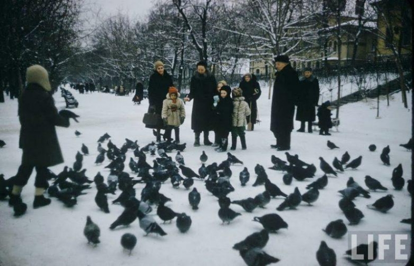 20 photo young Muscovites beginning of 1960