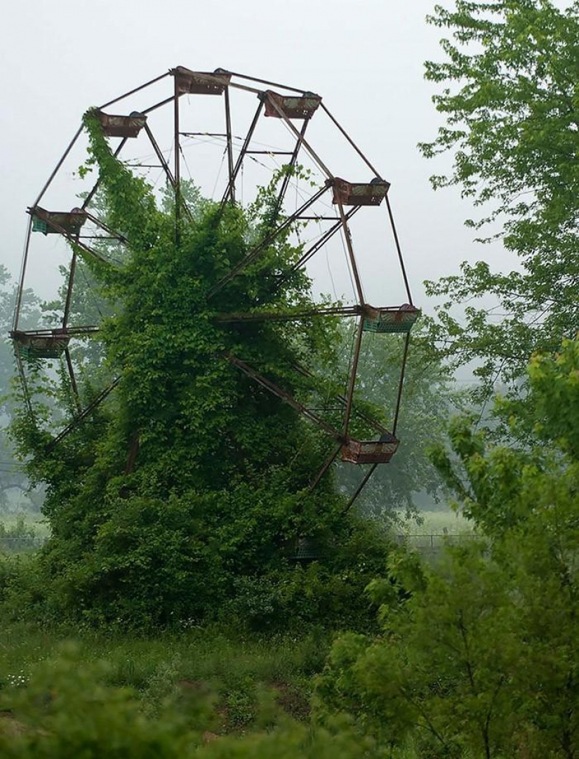 21 ejemplos, cuando la naturaleza de la civilización