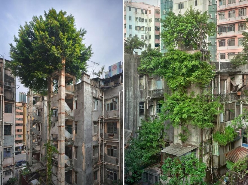 21 examples when the nature civilization