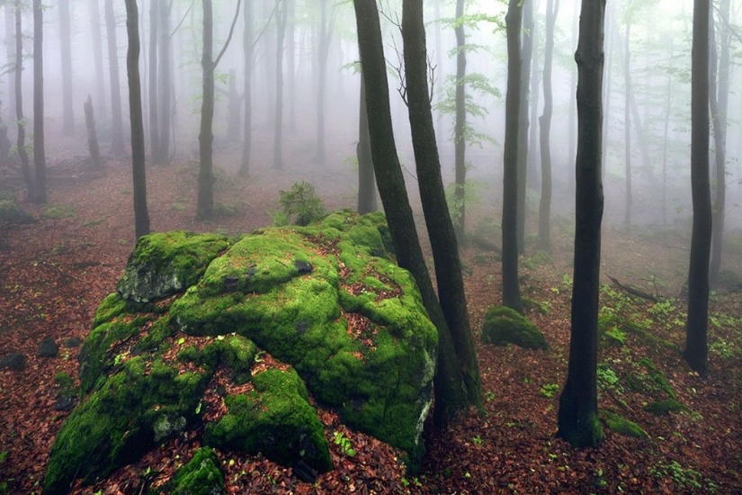 22 paisajes increíbles inspirados en los cuentos de los Hermanos Grimm