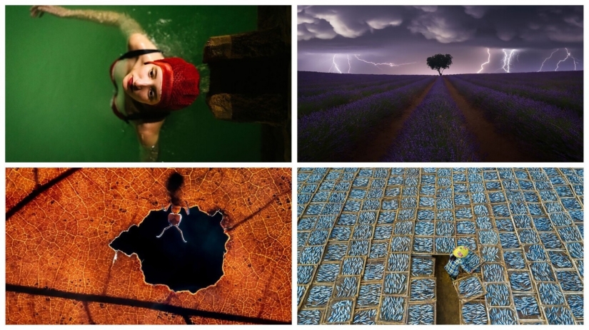 25 impressive shots from the finalists of the Sony World Photography Awards 2021