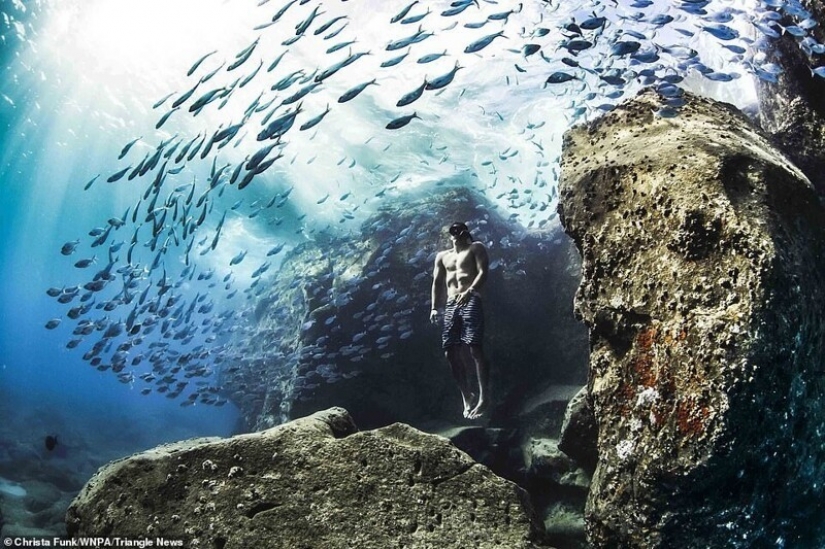 26 impresionantes fotos de los ganadores de la Naturaleza World Photography Awards