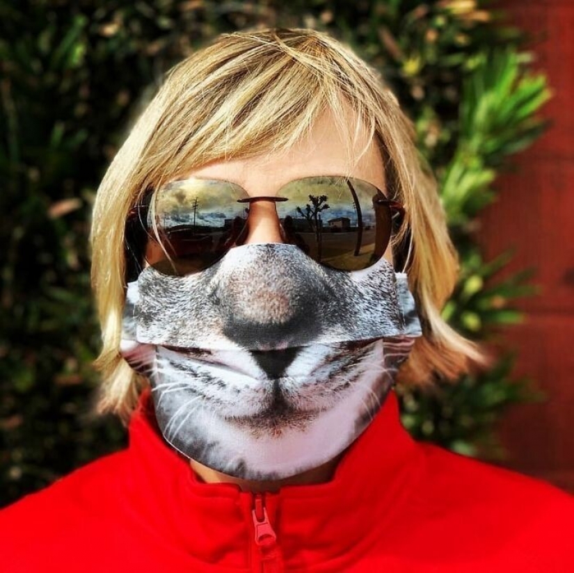 30 extrañas y divertidas máscaras protectoras para gatos