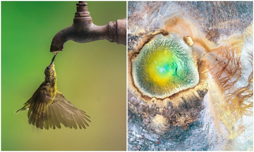 30 impresionantes imágenes muestran la grandeza de nuestra naturaleza