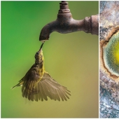 30 impresionantes imágenes muestran la grandeza de nuestra naturaleza