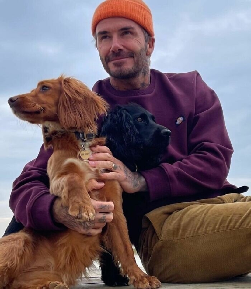 30 photos of celebrities with dogs