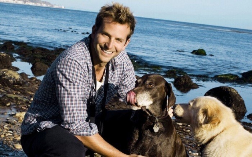 30 photos of celebrities with dogs