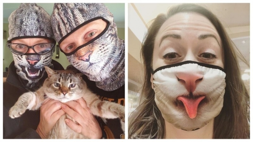 30 strange and funny protective masks for cat people