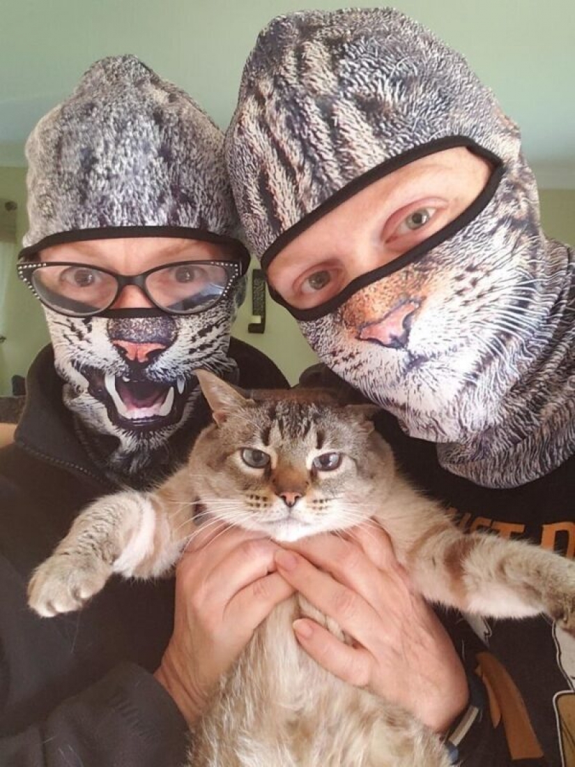 30 strange and funny protective masks for cat people