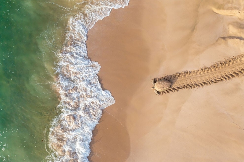33 breathtaking drone photos from around the world